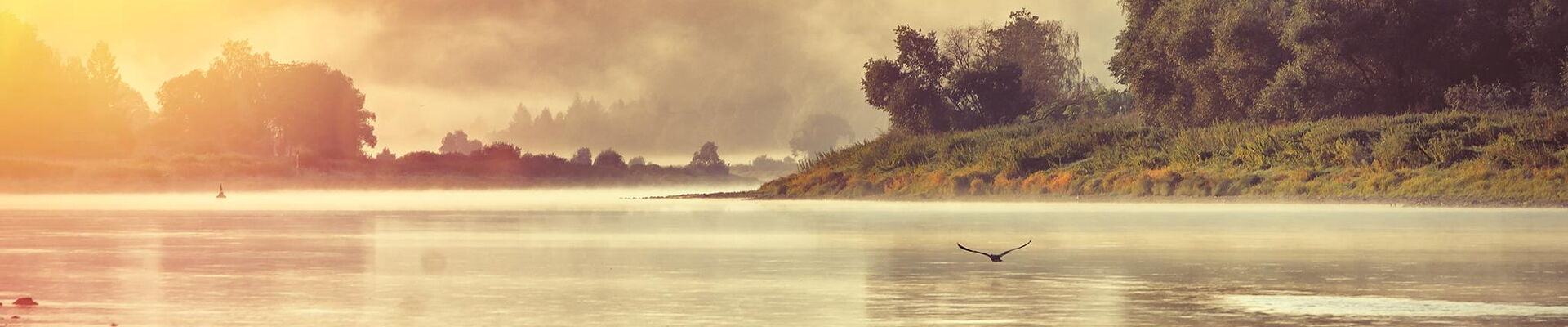 Meißen Elbe  (MATE Theme für Contao)